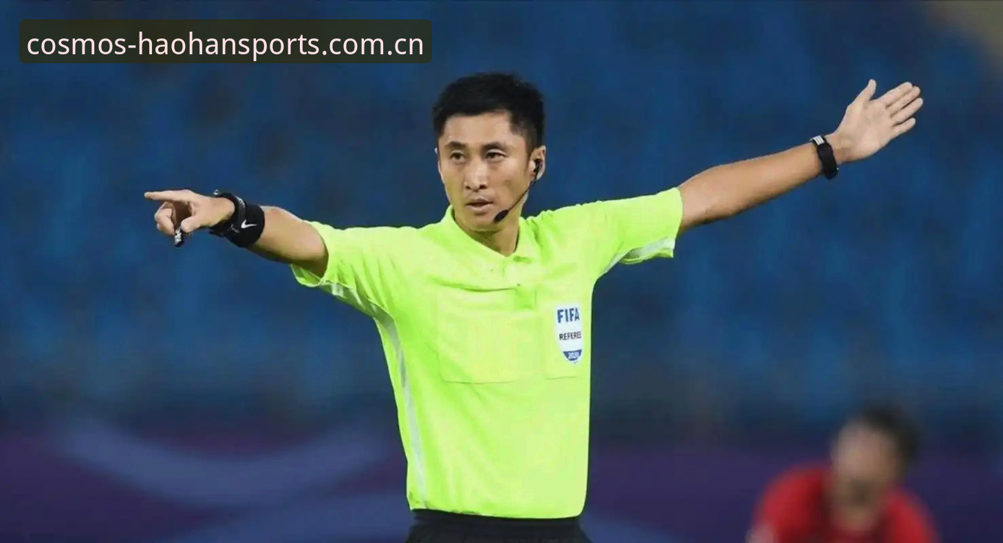 为什么马宁不看球迷评价也能站上世界杯舞台？